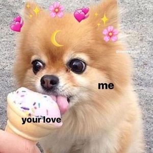 Meet your Posher, Annie